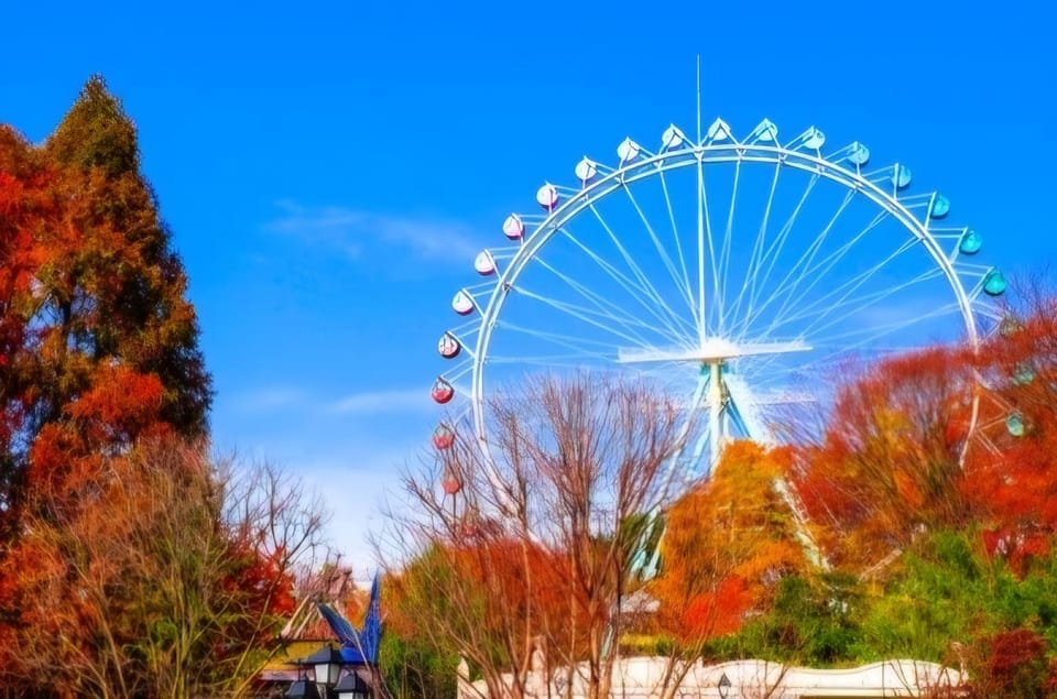 Everland Theme Park : Private Transfer(Up to 12passengers) - Booking and Flexibility