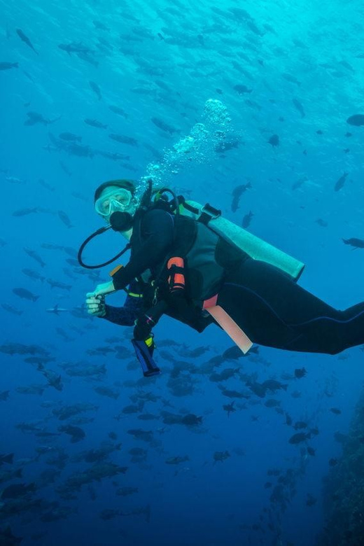 Exciteful Scuba Diving Experience in Antalya - Dive Sites and Marine Life