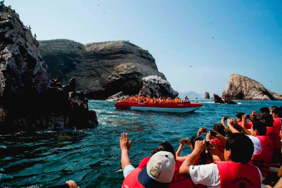 Excursion to Ballestas Islands and Paracas National Reserve - Detailed Itinerary