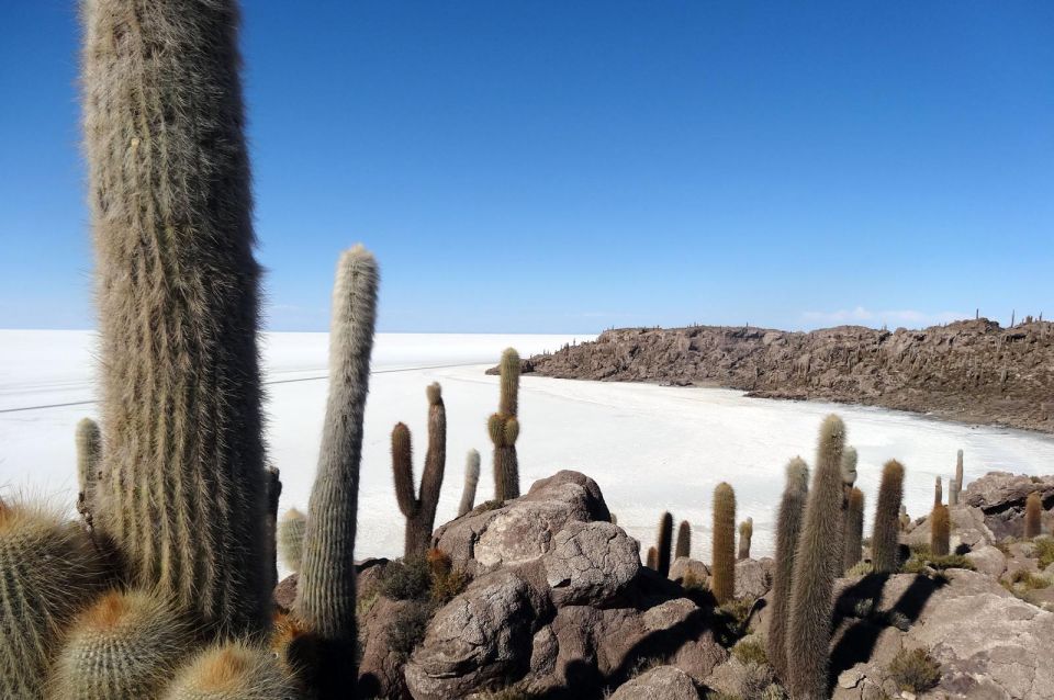 Excursion to the Salar De Uyuni 1 Day + Lunch - Itinerary Highlights