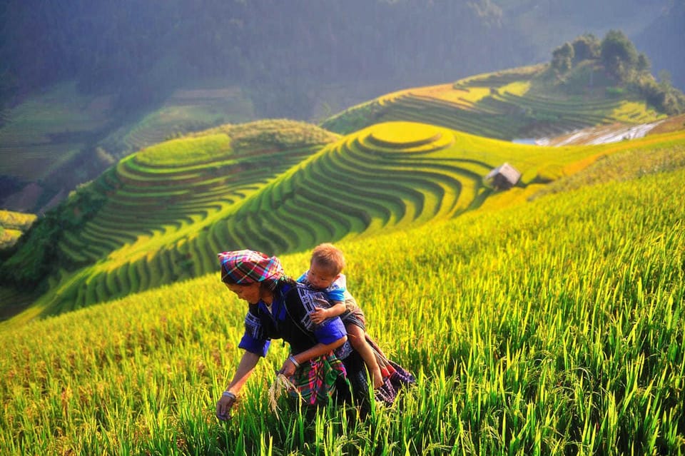 Explore Cultural Unique of Mu Cang Chai - Terraced Fields Experience