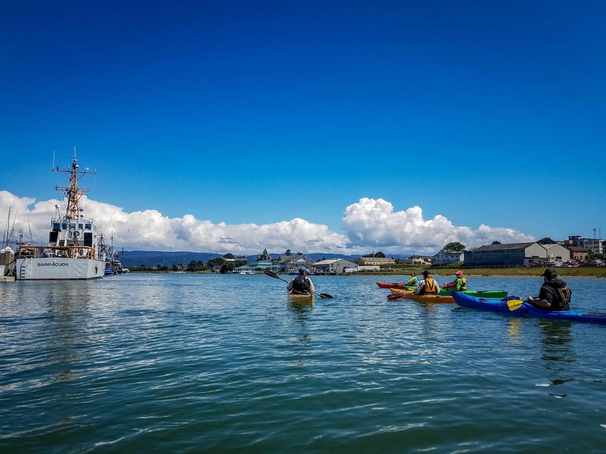 Explore Humboldt Bay by Kayak - Guided Exploration