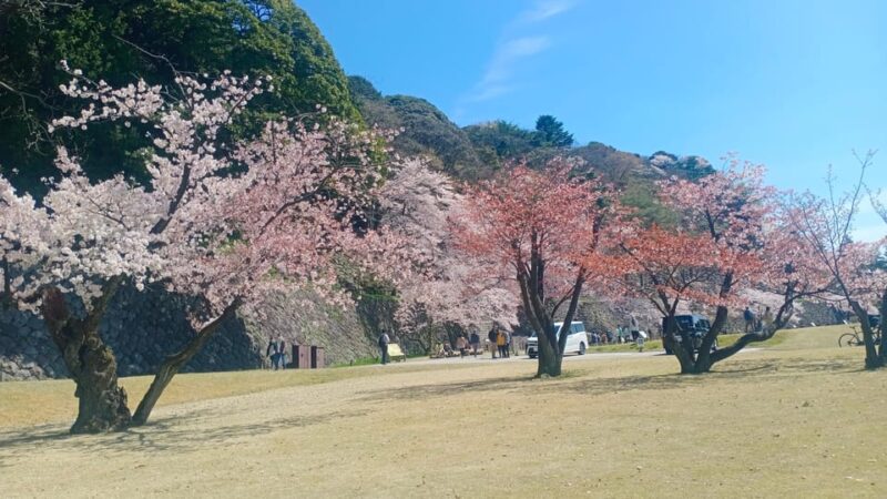 Explore Kanazawa in Three Hours - Inclusions and Extras