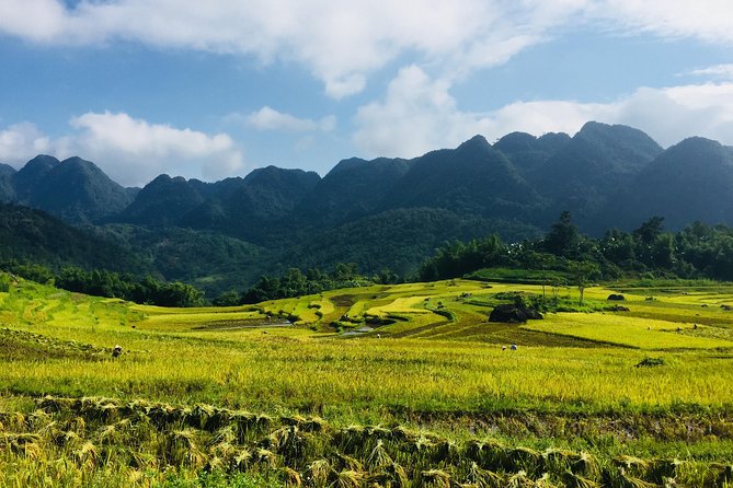 Explore Mai Chau - Pu Luong - Ninh Binh 4 Days / 3 Nights - Day 1: From Hanoi to Mai Chau