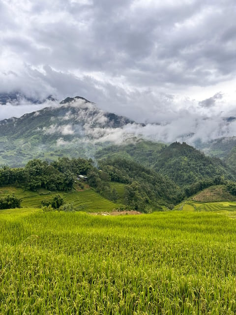 Explore Sapa by Trekkingadventures, Mountain,Rice Fields - Itinerary Details