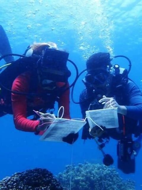 Explore the Mangroves and Coral Reefs of Malaysia - Highlights of the Experience