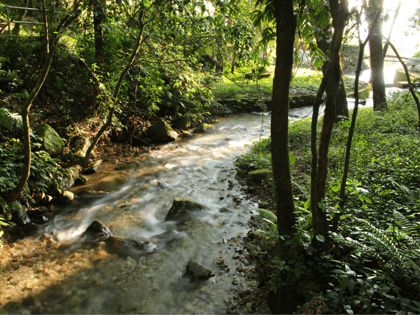 Explore the Wilderness of Shivapuri Hill: Day Hiking - Scenic Highlights Along the Route