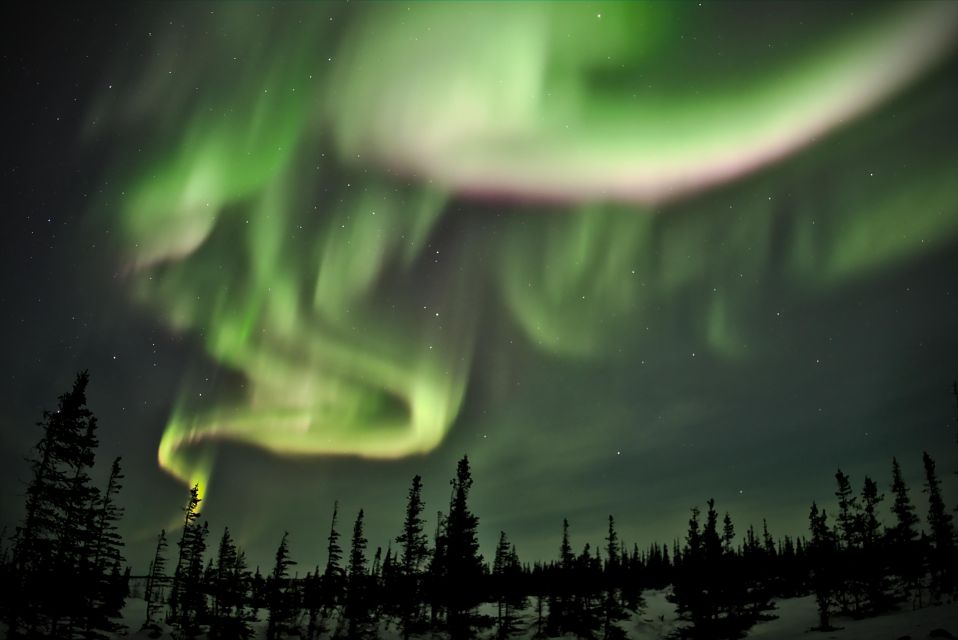 Exploring the Northern Lights by Car - What to Expect on Your Tour