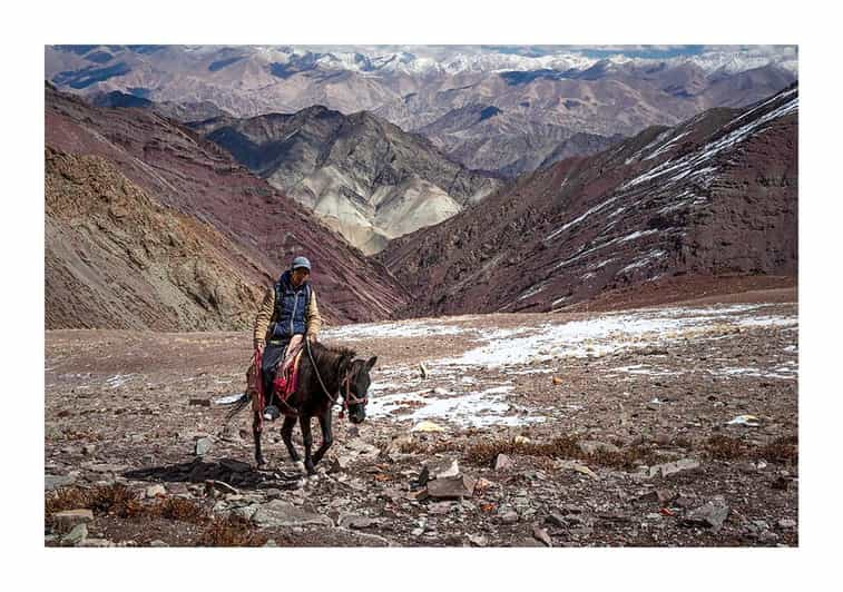 Family Langtang Valley Horseback Riding Trek - Detailed Itinerary