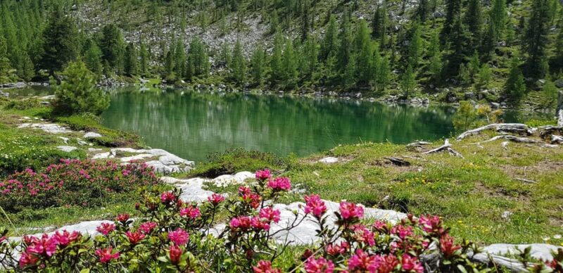 Fanes Day Trek in the Dolomites - Experience Highlights