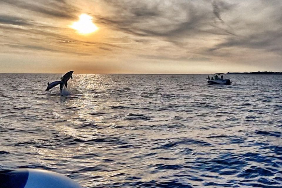 Fazana: Guided Dolphin Watching Sightseeing Cruise at Sunset - Pricing and Reservations