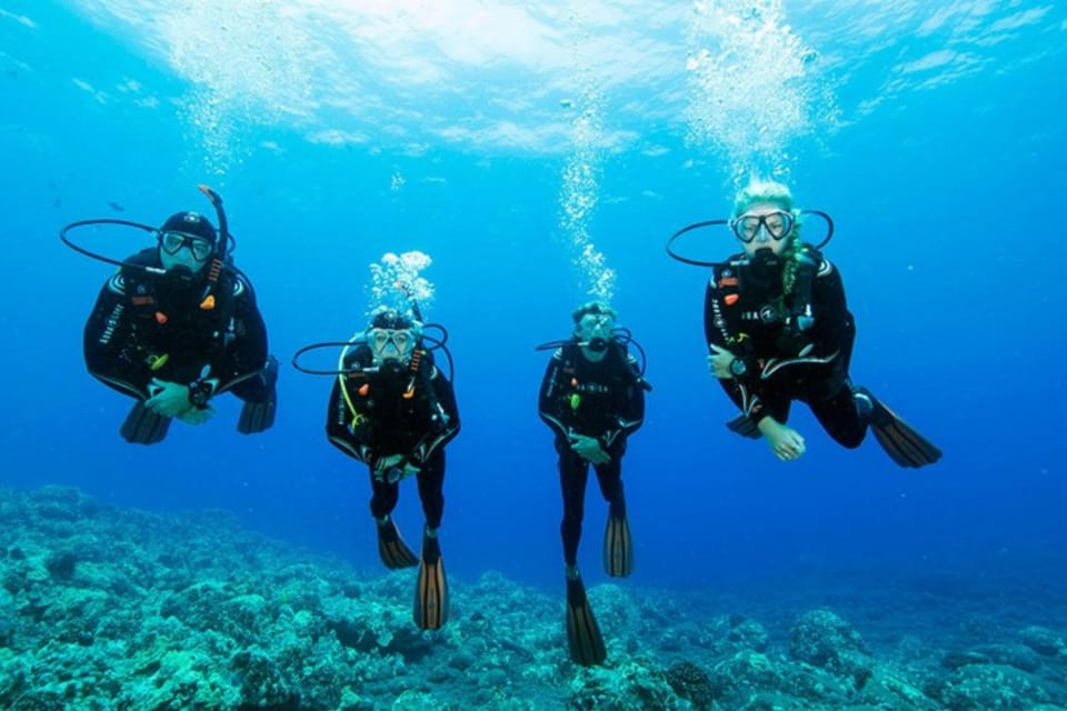 Fethiye Diving Adventure: Explore the Aegean Sea! - Diving Highlights