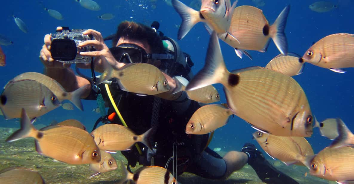 Fethiye: Ölüdeniz Scuba Diving Tour - Inclusions of the Tour