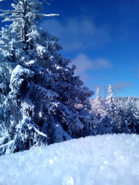 Fichtel Mountains: Snowshoe Hike - Experience Highlights