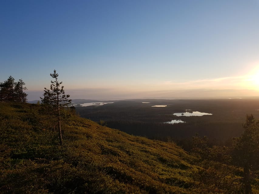 Finnish Lapland: Midnight Sun Walk in Riisitunturi Park - Booking Information