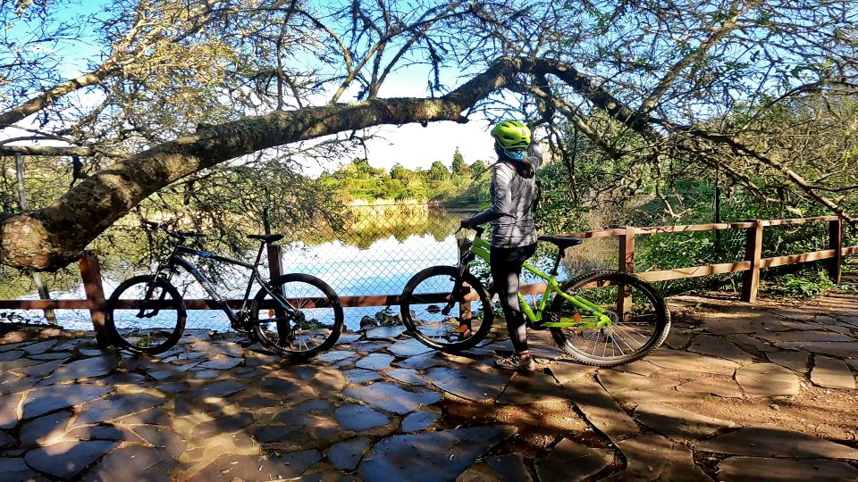 Firgas: Gran Canaria Forest Mountain Bike Tour - Exploring Northern Forests