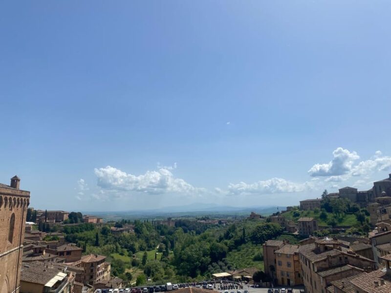Florence: San Gimignano & Siena Tasting Experience - Inclusions and Exclusions