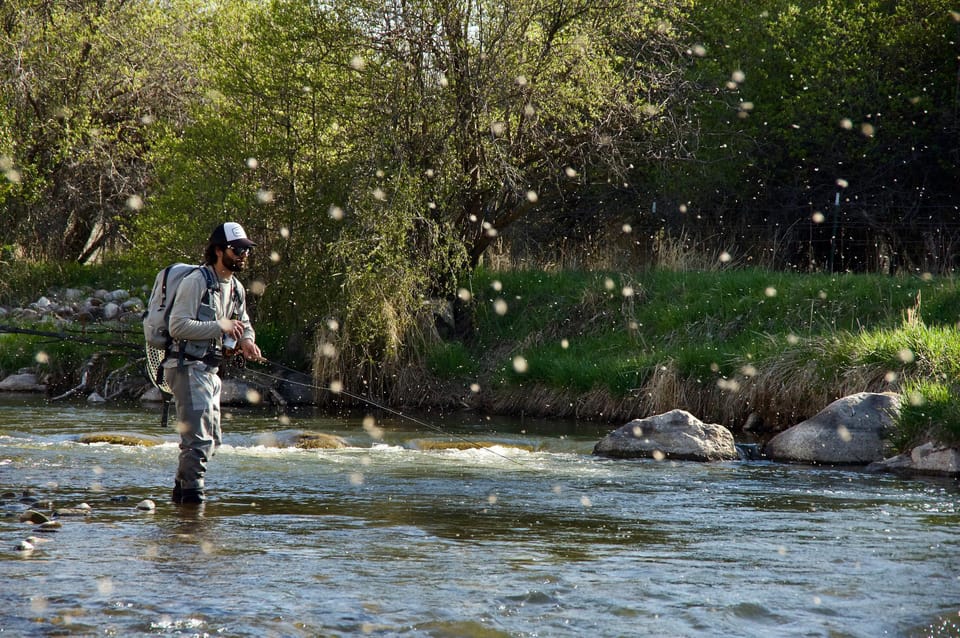 Fly Fish Utah Blue Ribbon Trout Waters - Best Times to Fly Fish