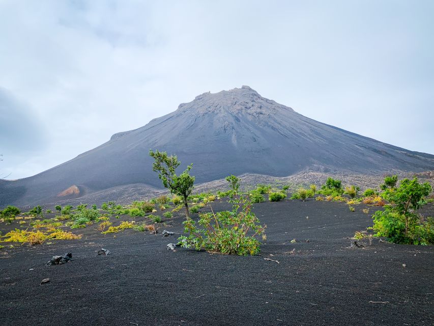 Fogo Island: Pico Do Fogo Volcano Summit Hike - Experience Highlights