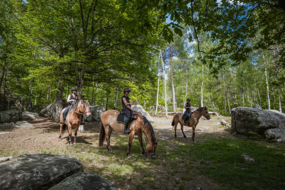 Fontainebleau: Horse-riding, Gastronomy & Château - Itinerary and Transportation