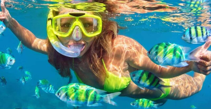 Fort Walton: Dolphin Discovery and Snorkeling Cruise - Cruise Highlights