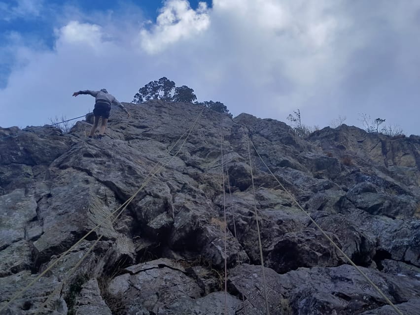 Freiburg: Climbing Course in the Black Forest - Course Content