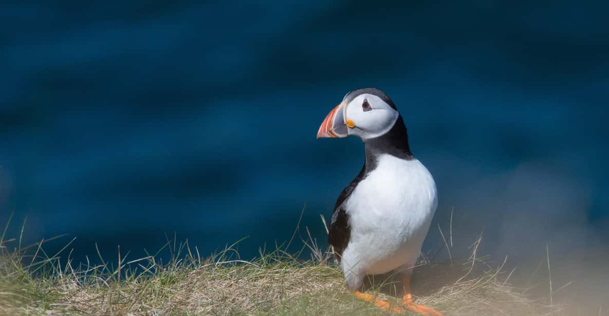 From Aberdeen: North East Coastal Trail Small-Group Tour - Itinerary Highlights