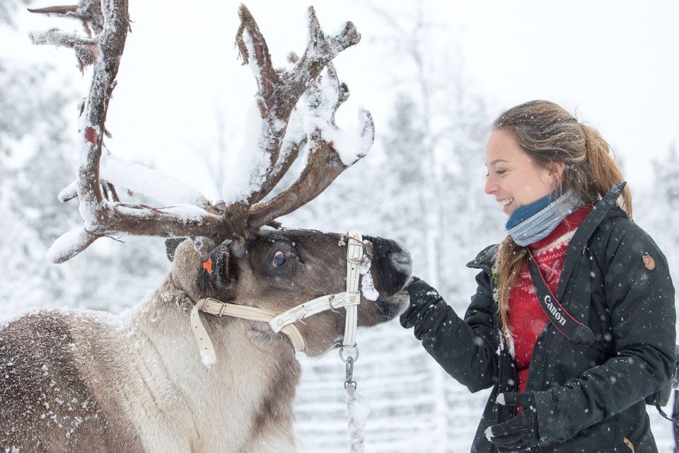 From Abisko/Björkliden: Jukkasjärvi Sami and Reindeer Tour - Pickup Locations and Times