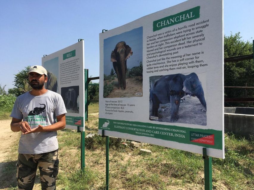 From Agra: Visit to Wildlife SOS Elephant Conservation Trip - How to Book