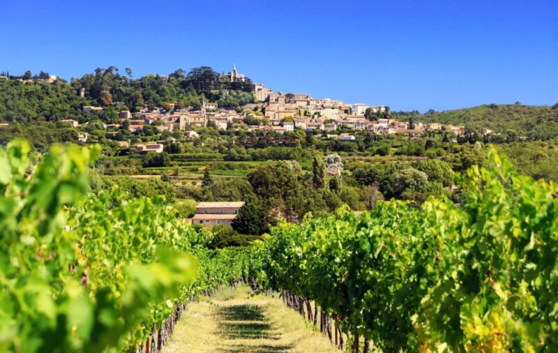 From Aix-En-Provence: Châteauneuf Du Pape Wineries Day Trip - Itinerary Highlights