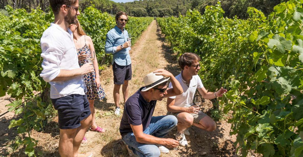 From Aix-en-Provence: Wine Tour in Cezanne Countryside - Experience Highlights