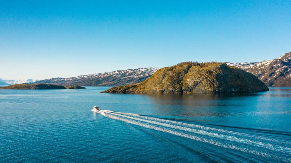 From Alta: Adventure Cruise in Alta Fjord - Experience and Highlights