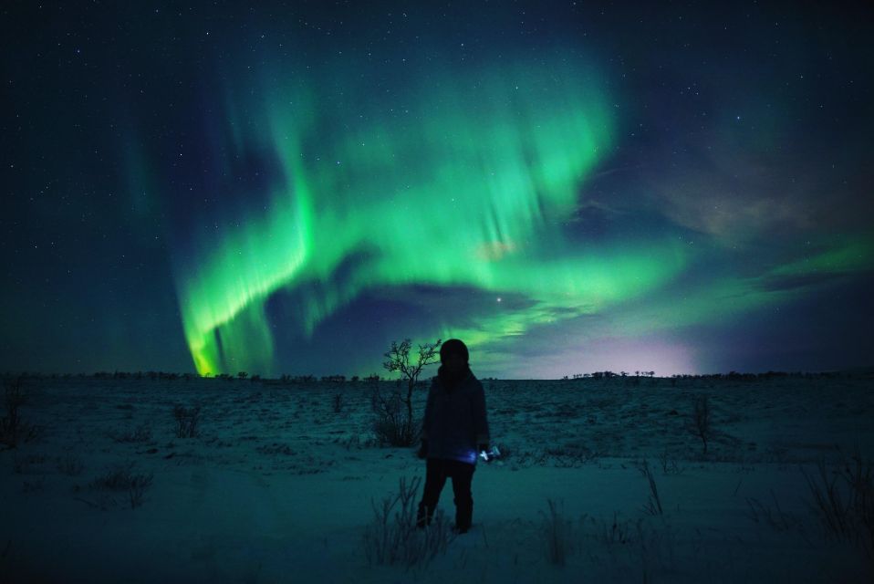 From Alta: Nighttime Northern Lights Spotting Tour - Experience Highlights