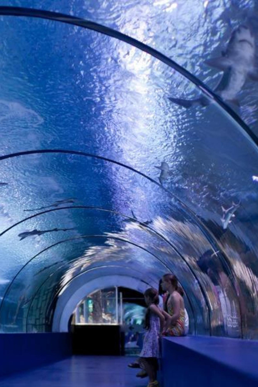 From Antalya All Region: Antalya Aquarium With Transfer - Experience Highlights