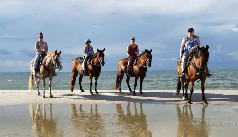 From Antalya, Belek, Kundu: Horse Riding With Hotel Transfer - Experience Highlights