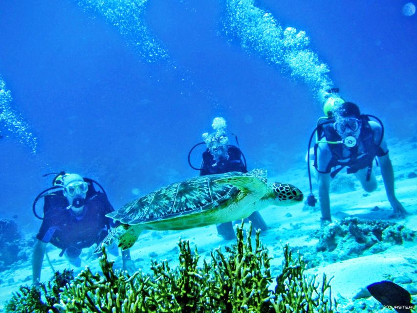 From Antalya| Kemer: Diving Tour With Experienced Instructor - Highlights of the Experience