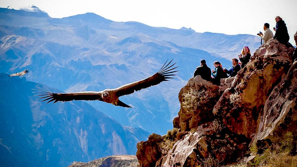 From Arequipa: Full Day Colca Canyon Tour - Itinerary Highlights