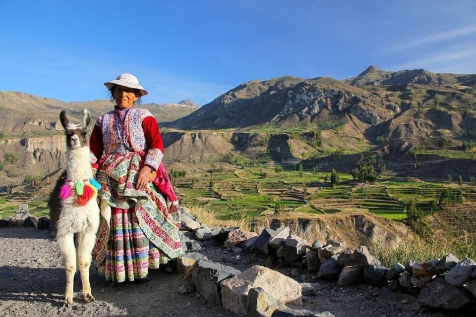 From Arequipa: Full-Day to Colca Canyon - Itinerary and Schedule