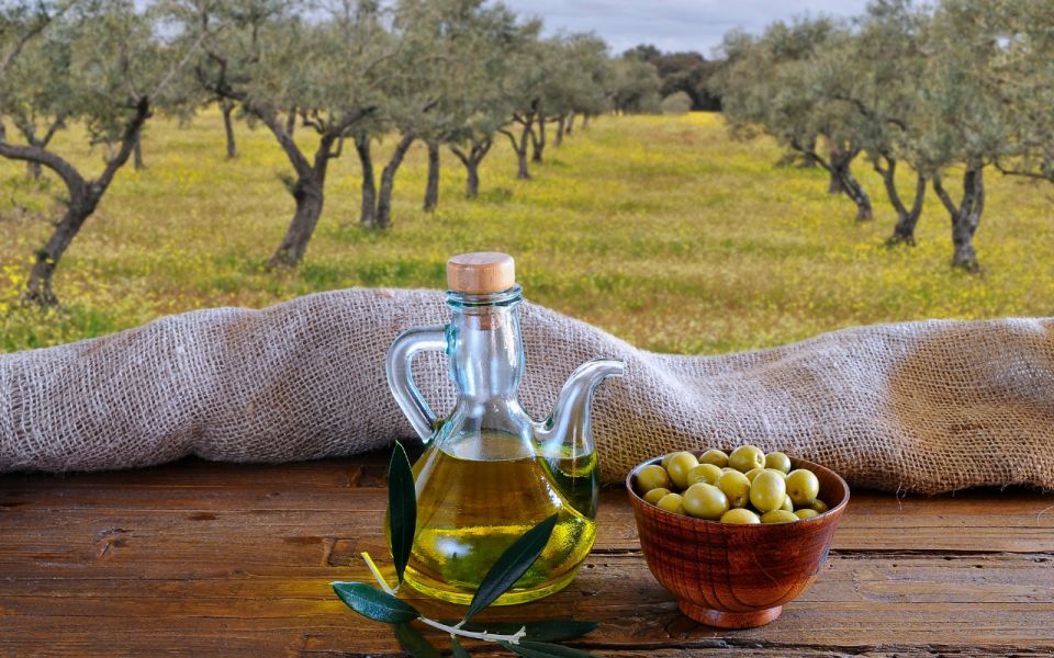 From Athens: Olive Oil Production & Wine Private Day Trip - Olive Oil Production