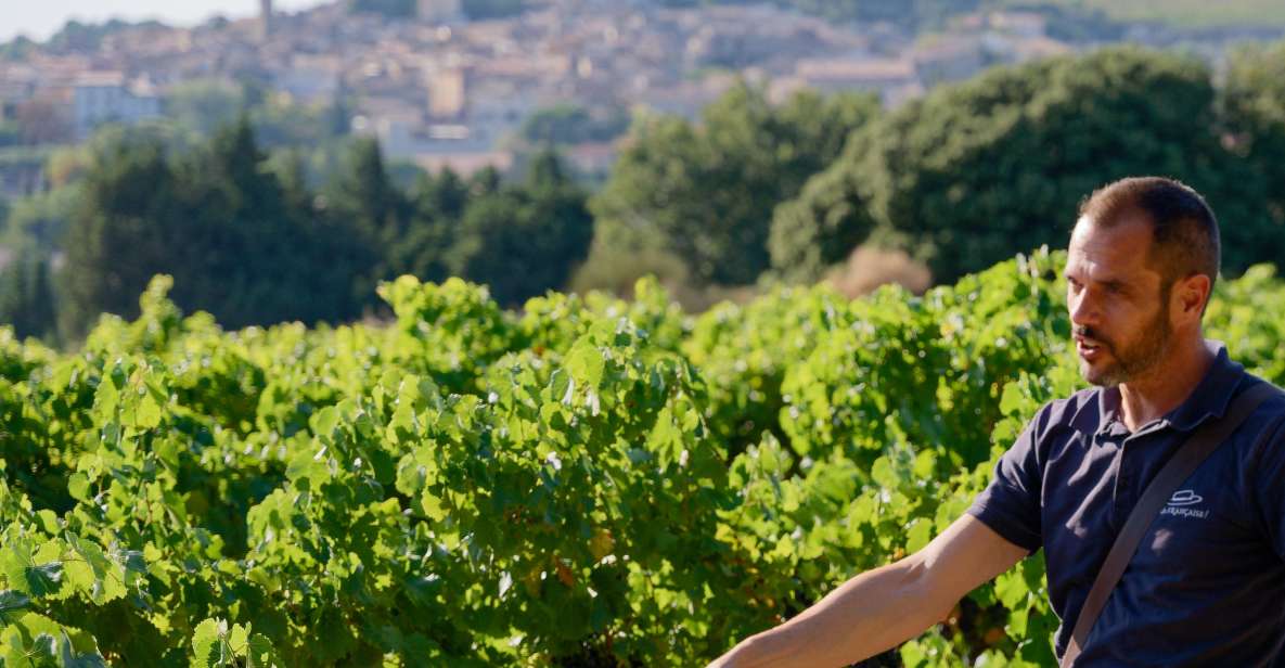 From Avignon: Afternoon Wine Tour Châteauneuf Du Pape - Itinerary Details