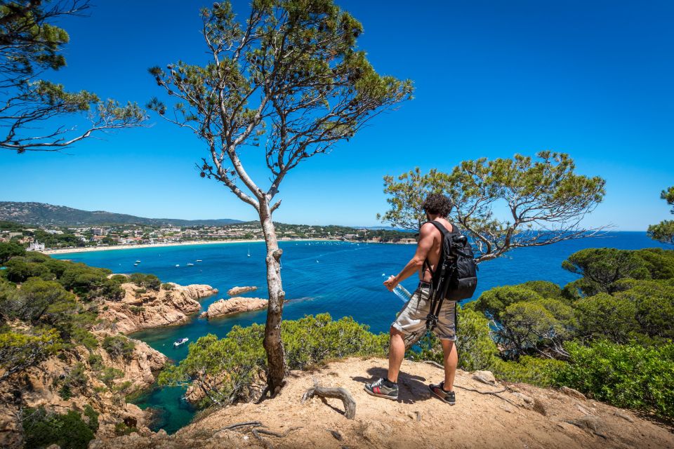 From Barcelona: Costa Brava Trails, Snorkeling & Cliff Jump - Highlights of the Itinerary