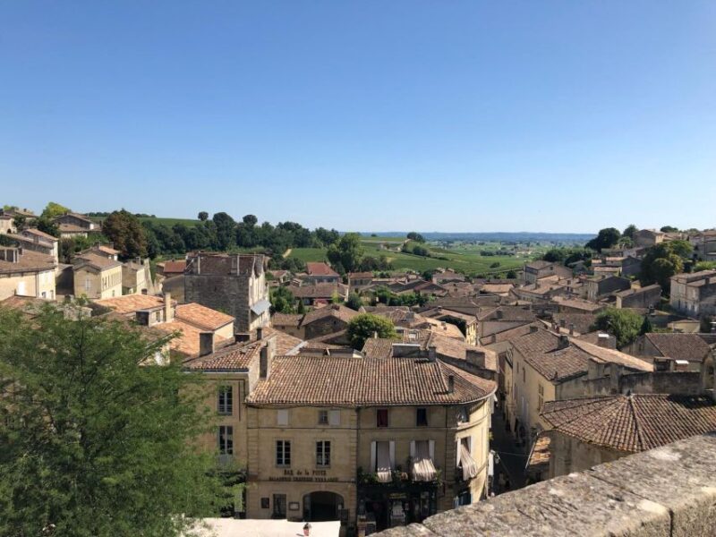 From Bordeaux: Half-Day Saint-Emilion Wine Tour - Experience Highlights