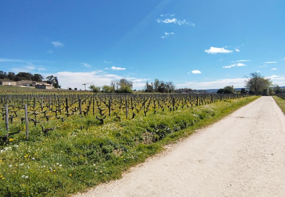 From Bordeaux to Saint Emilion by Gravel Bike - Wine Tasting - Itinerary Highlights