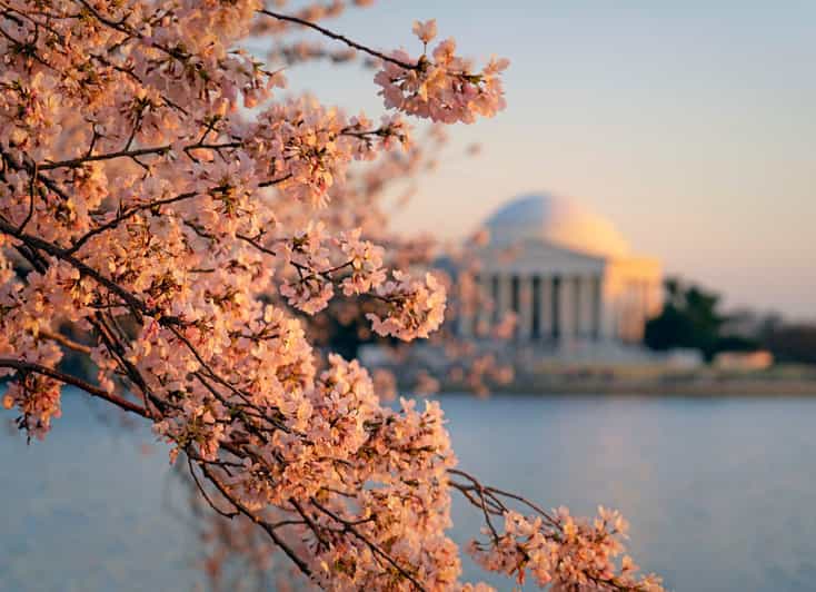 From Boston: 4-Day Tour to New York, D.C.&Niagara Falls - Day 1 Itinerary