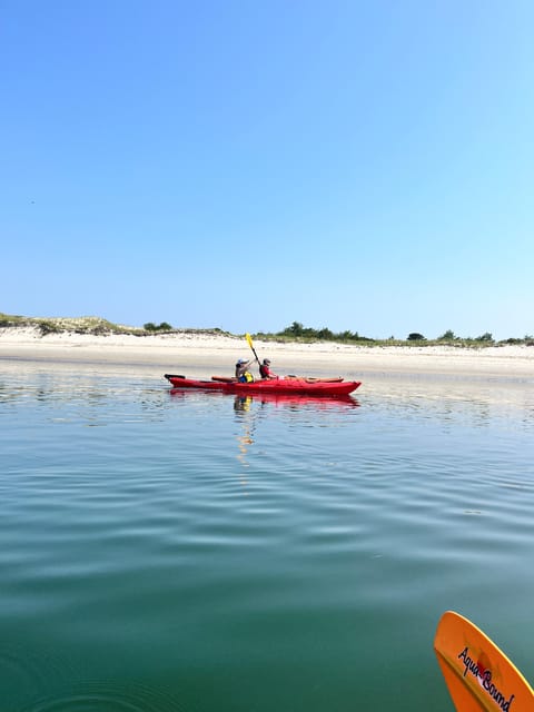 From Boston: Kayak Castle Neck River at Crane Estate - Pricing and Booking