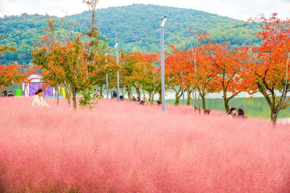 From Busan: Gyeongju Autumn Foliage One Day Tour - Itinerary and Highlights