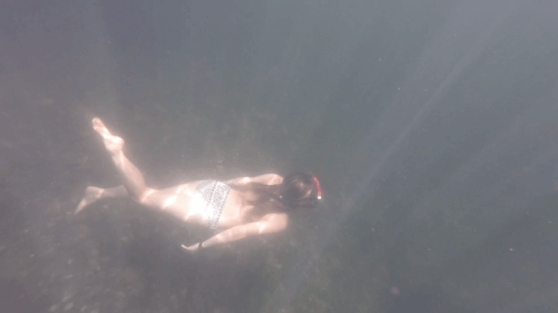 From Busan: Mountain Valley Hiking and Swimming Day Trip - Guided Nature Hike
