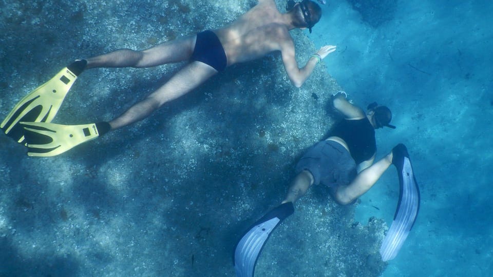 From Cala Gonone: Snorkeling in the Orosei Gulf - Experience Details