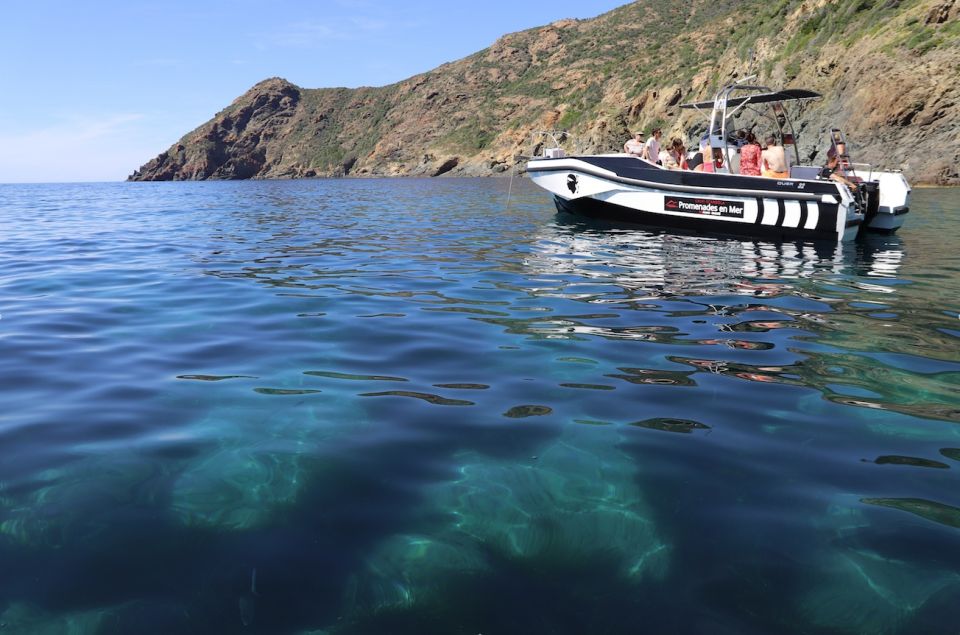 From Calvi: 2-Hour Sunset Cruise to Revellata Peninsula - Included Offerings