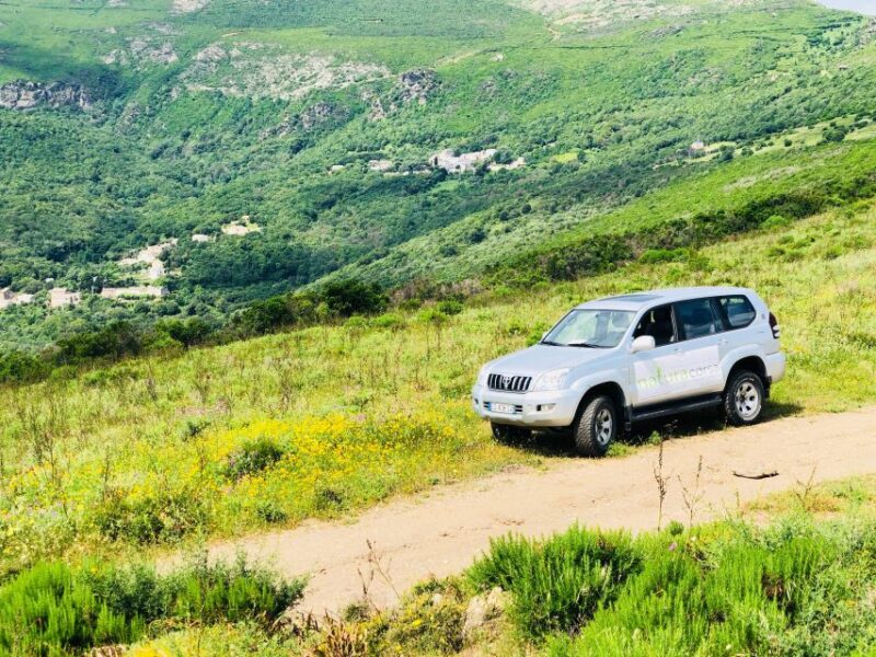 From Calvi: 4x4 Day Tour Mountain & Agriates Saleccia Beach - Highlights of the Experience